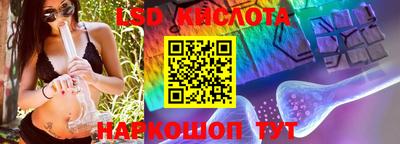 прущие грибы Кунгур